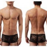 MP145-162 -  Black Stretch Lace Mini Short