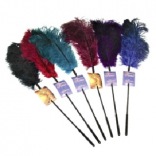 Ostrich Feather Tickler